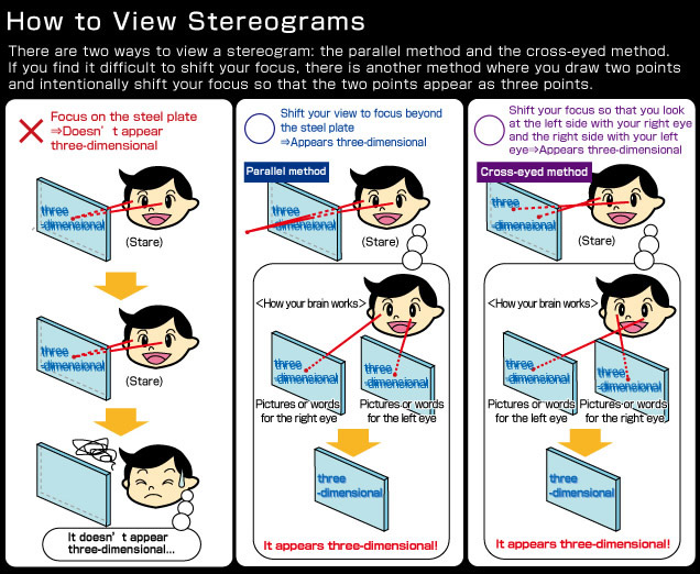 Figure: the mechanism for seeing stereogram hidden pictures